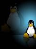 Как узнать версию Linux, основные команды Как узнать операционную систему linux